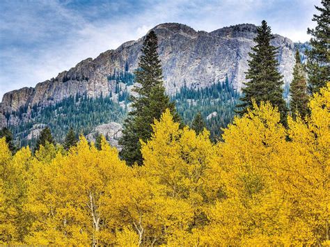 A Guide To The Lily Lake Trail Rocky Mountain National Park