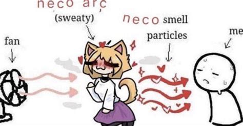 Real Neco Arc Know Your Meme