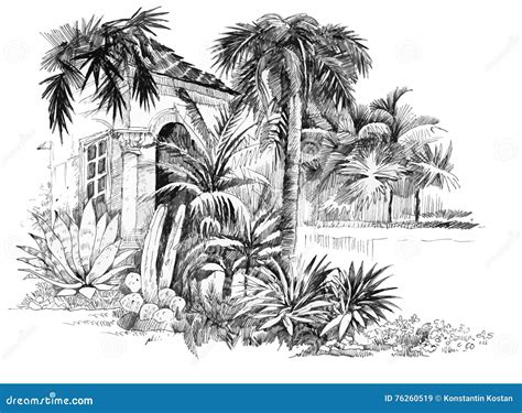 Hand Drawn Sketch Tropical Resort Illustration Stock Vector