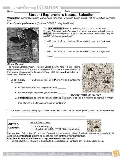 Peppered Moth Simulation Worksheet Answer Key Athens Mutual Student