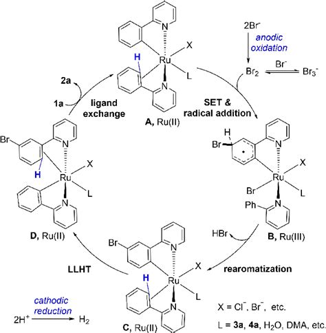 Proposed catalytic cycle. | Download Scientific Diagram