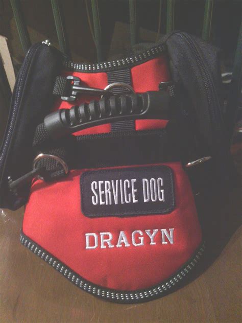 Pin on Service Dog Vests