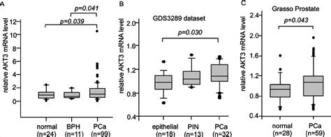 Expression Levels Of Akt3 Mrna In Human Normal Disease And Cancerous