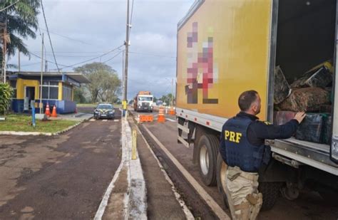 Prf Apreende Tr S Toneladas De Maconha Em Caminh O Em Santa Terezinha