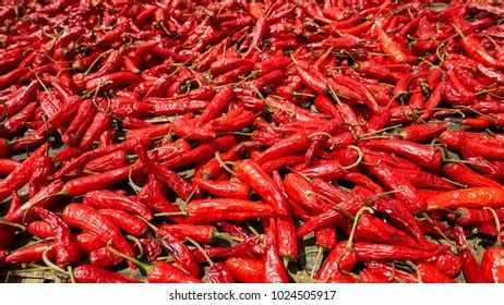 Thousand Dry Hot Pepper Royalty Free Images Stock Photos Pictures Shutterstock
