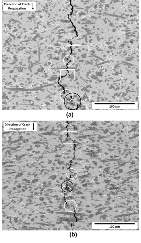 Sem Images Showing Crack Tip Interaction With Microstructural Elements