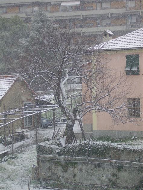 Nevicata Fabio Mazzari Flickr