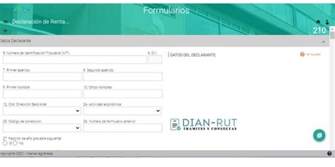 C Mo Descargar Y Completar El Formulario Dian Hot Sex Picture