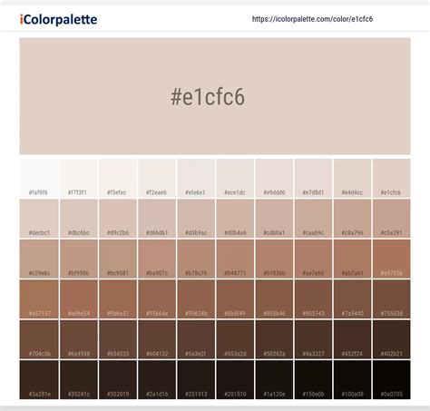 Pantone Tcx Shell Color Hex Color Code E Cfc Information