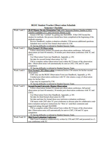 12 Teacher Observation Checklist Templates In Pdf Ms Word