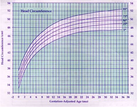 Premature Head Circumference Growth Chart A Visual Reference Of Charts Chart Master