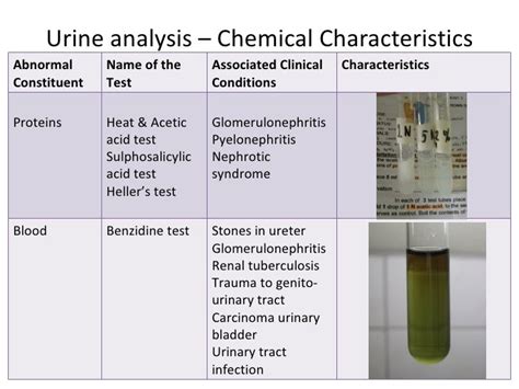 Kidney function test