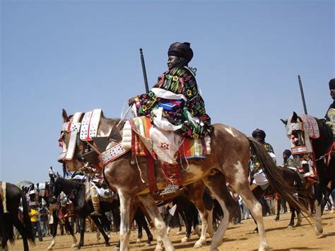 Sokoto Caliphate | SkyscraperCity | African royalty, Africa, Horse breeds