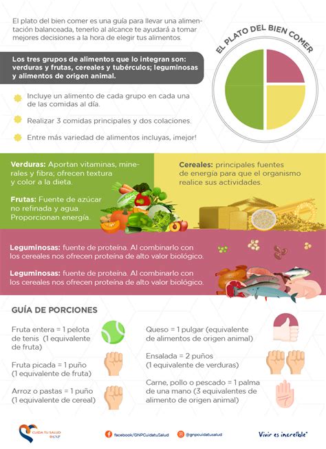 El Plato Del Bien Comer Gnp Cuida Tu Salud Vrogue Co Nbkomputer