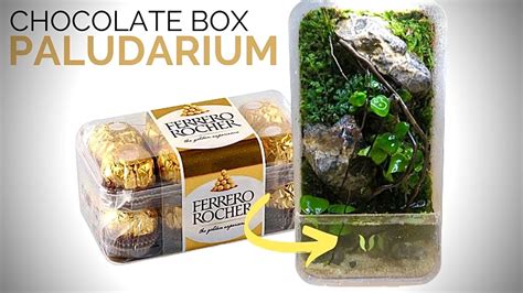 Don T Throw Away Empty Ferrero Rocher Chocolate Boxes Make A Mini