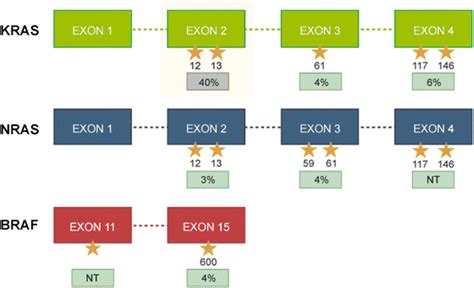 Most common mutations in KRAS, NRAS and BRAF | Download Scientific Diagram