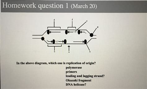Solved In the diagram above, which one is replication of | Chegg.com 