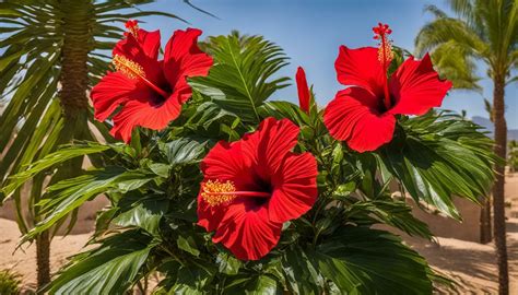 Essential Guide: Mastering Hibiscus Care in Your Home Garden