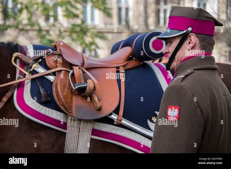 Polish cavalry hi-res stock photography and images - Alamy