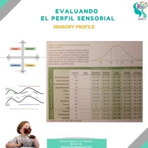 Conocer El Perfil Sensorial De Nuestros Peques Centro Ludocrea