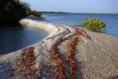 Le Sine Saloum Au Senegal