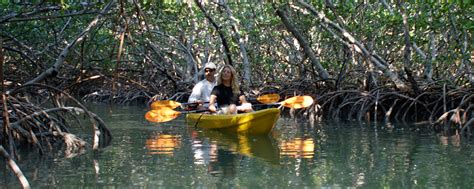 Florida Keys Kayak