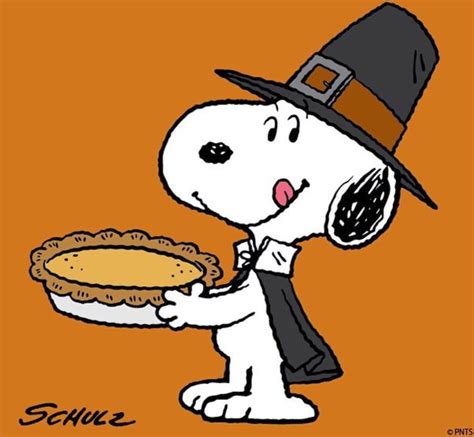 Snoopy Thanksgiving Snoopy Snoopy Peanuts Snoopy