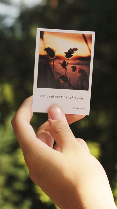 Мотивационные открытки Serene Cards | Акварельные иллюстрации ...