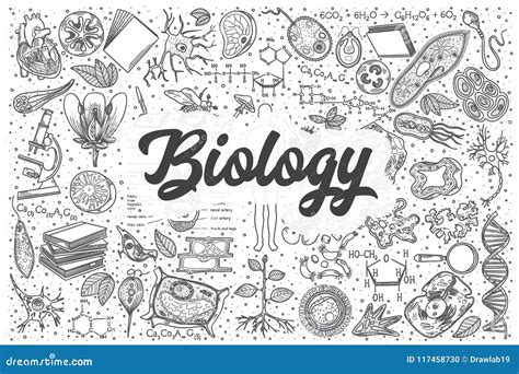 Hand Drawn Biology Vector Doodle Set Stock Vector Illustration Of Object Limb 117458730