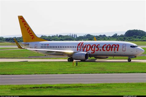 Pegasus Airlines Boeing 737 NG Max TC ANP Photo 44375 Airfleets