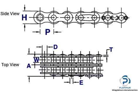 Rexnord B Duplex Metric Roller Chain Platinum International