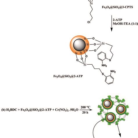 A Scheme For The Synthesis Of A Fe3o4sio22 Atp Nanoparticles And