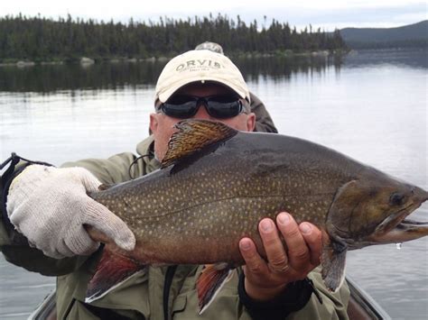 Labrador S Igloo Lake Lodge Fly Fishing Lodge Fly Dreamers Directory