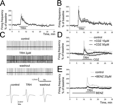 TRH Enhances Firing Rate Of TMN Neurons A B Averaged Ratemeter