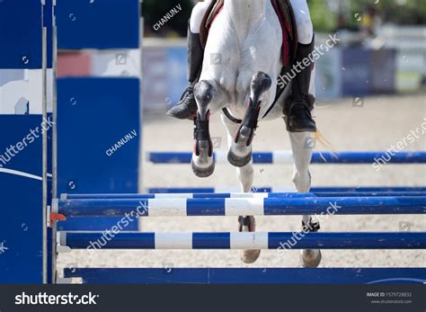 Competition Horse Jumping Over Obstacles Show Stock Photo 1579728832 | Shutterstock