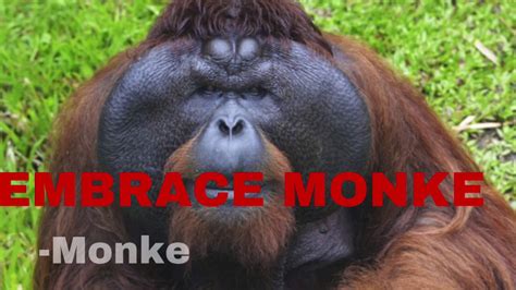 REJECT HUMANITY EMBRACE MONKE YouTube