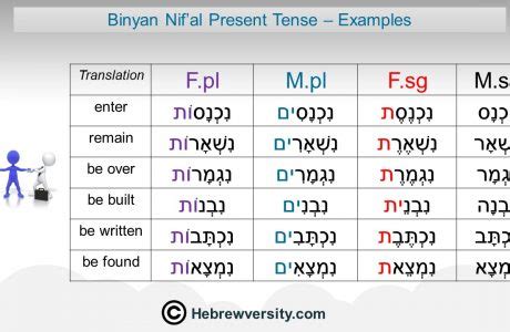 Hebrew Verb Present Tense Hebrewversity