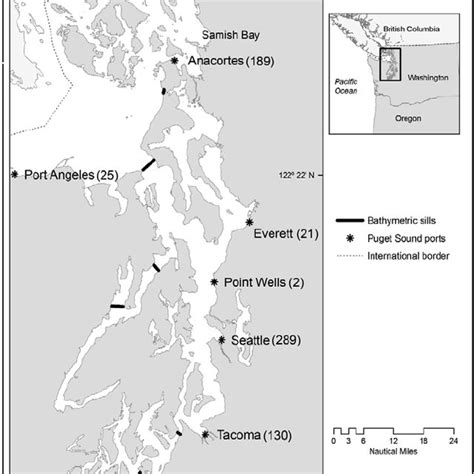 Examples of oceanic holoplankton. Holoplankton spend their entire lives... | Download Scientific ...