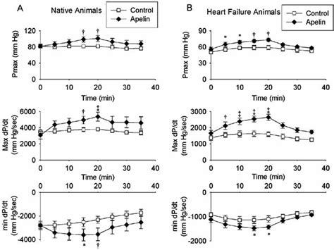 Effects Of Apelin 16 Infusion 0 01 G Min 0 20 Min On Left