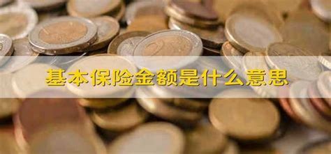 基本保险金额是什么意思 财梯网