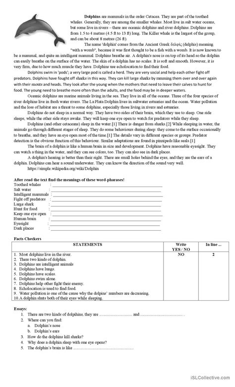 Report Text Exercise English Esl Worksheets Pdf And Doc