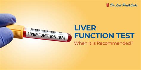 Understanding Liver Function Tests: Procedure & Result | Dr. Lal PathLabs