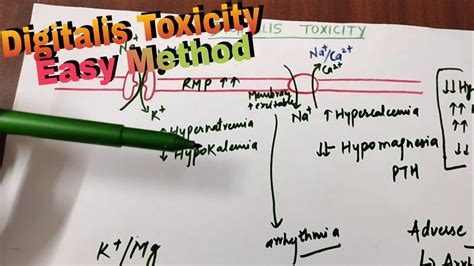 Bsc Nursing 2nd Year Pharmacologydigitalis Toxicityeasy Way To