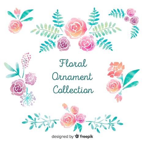 Collection D Ornements Floraux Vecteur Gratuite