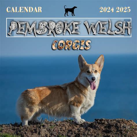 Pembroke Welsh Corgis Calendar 2024 2025 24 Month Planner To Keep