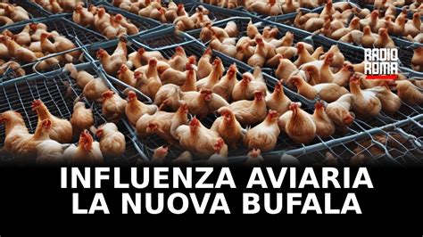 Influenza Aviaria La Bufala Del Morto Smentita Dal Governo Messicano