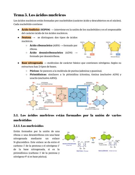 Tema 5 Los ácidos nucleicos