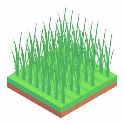 Fields Rice Plantation Harvesting Agriculture Rice Cultivation Icon