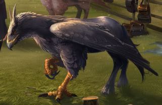 Hippogriff - Harry Potter Wiki