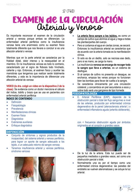 Solution Sindrome Arterial Y Venoso Studypool